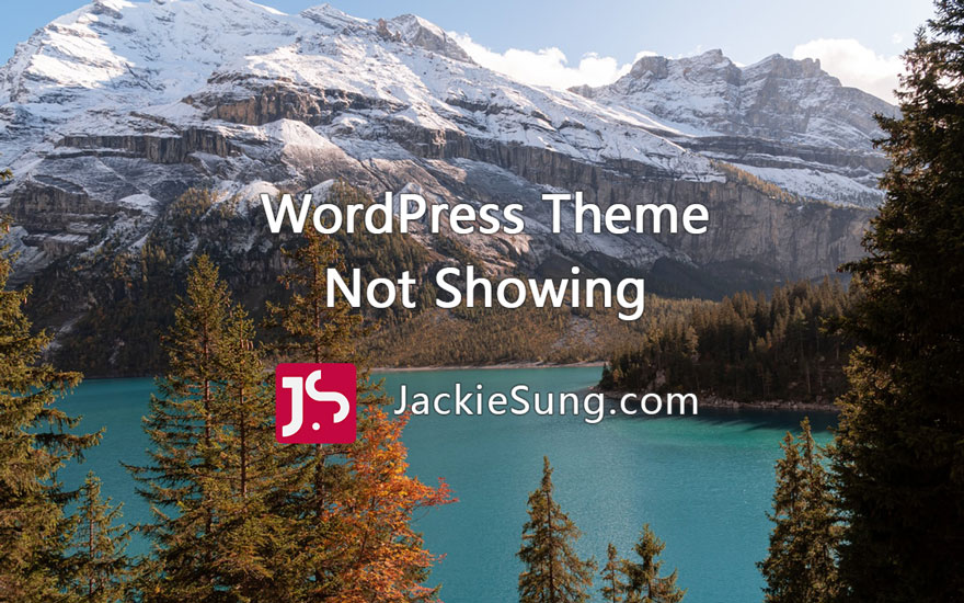 WordPress Theme Not Showing Up